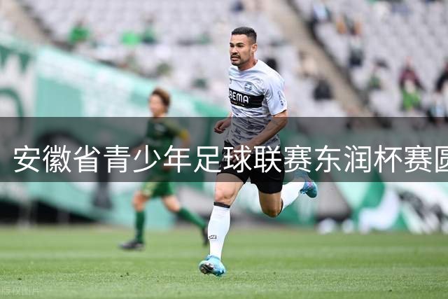 安徽省青少年足球联赛东润杯赛圆满落幕