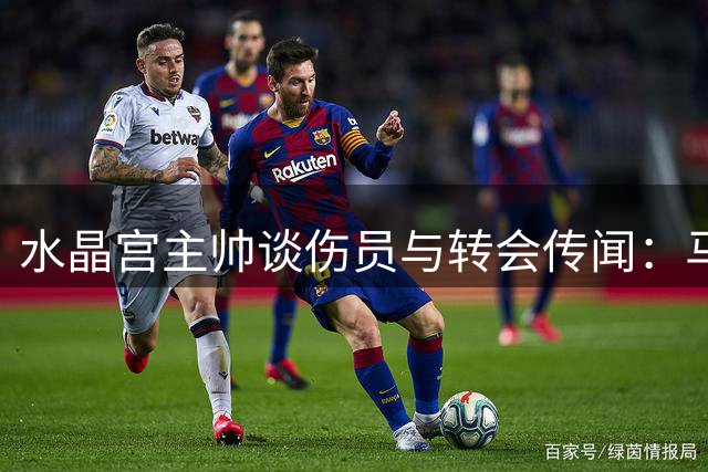 水晶宫主帅谈伤员与转会传闻：马特塔将留队 萨尔因豪门关注受影响